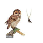 Hidden Treasures Secrets Tawny Owl