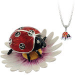 Hidden Treasures Secrets Ladybird